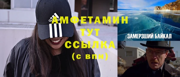 молекула духа Арсеньев