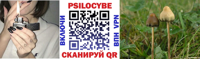 Галлюциногенные грибы ЛСД магазин Семилуки